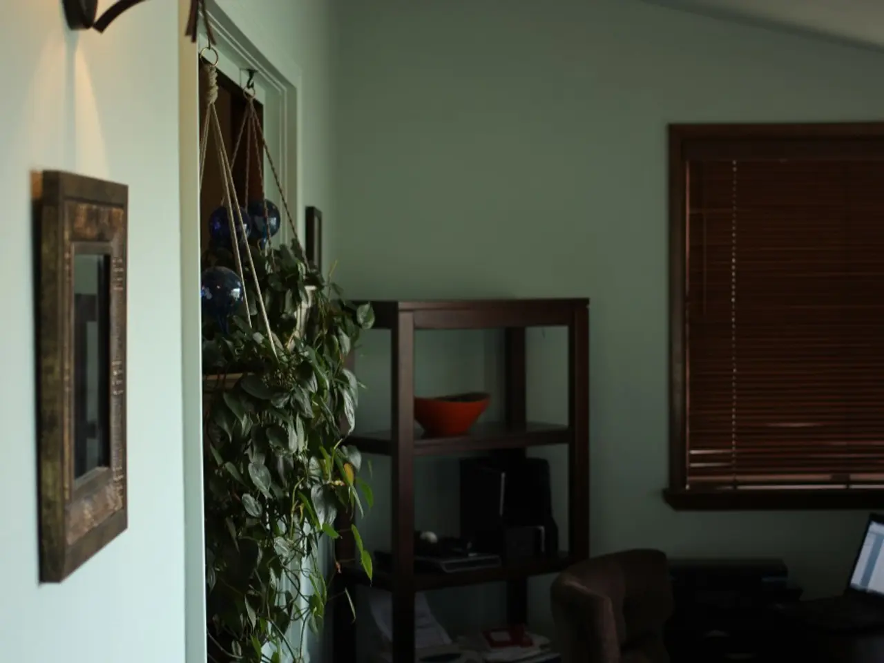 Explored various plant supports online to enhance my garden's aesthetic - these stakes and obelisks...