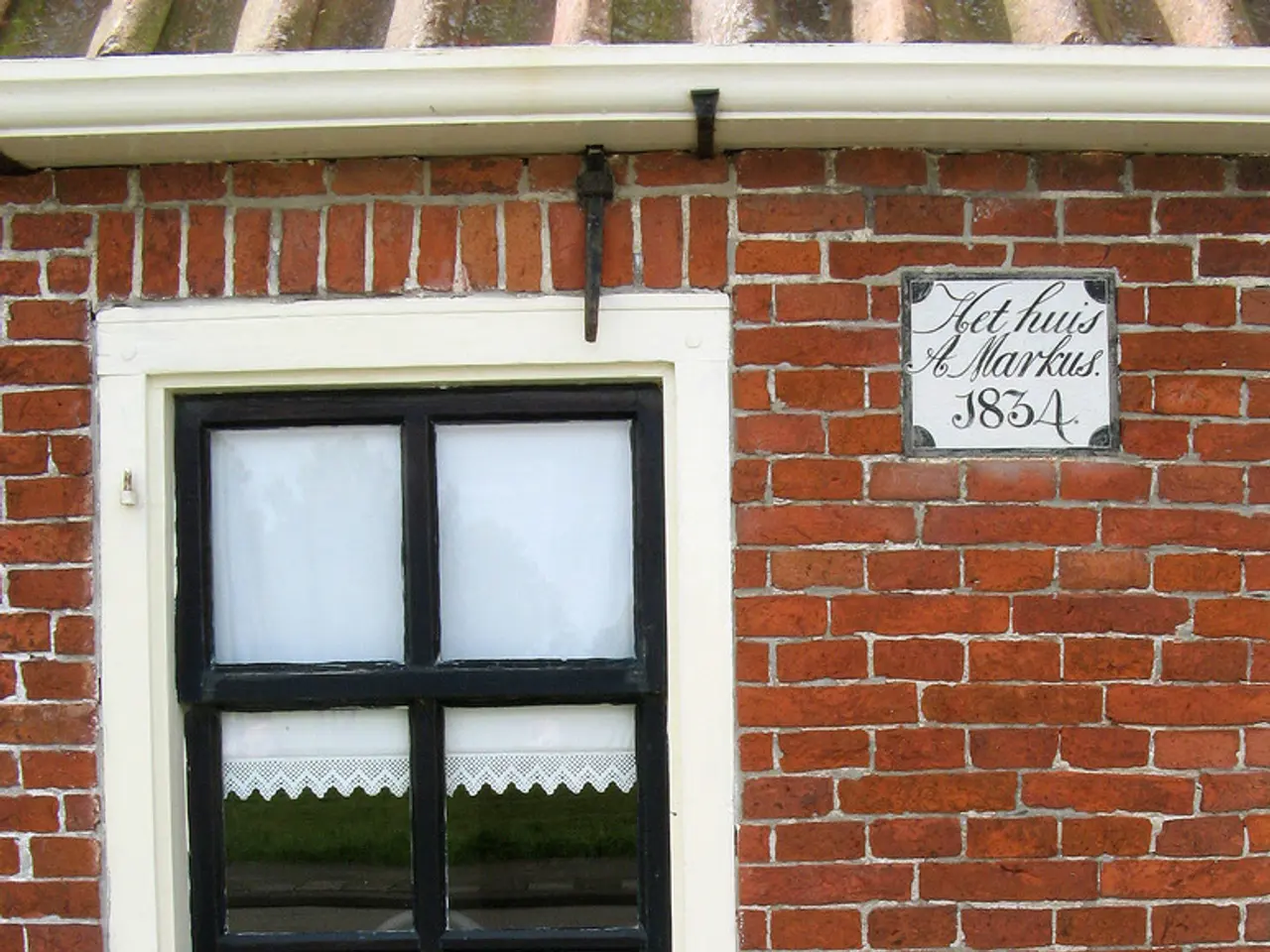 Top Perennials That Shine in Window Boxes