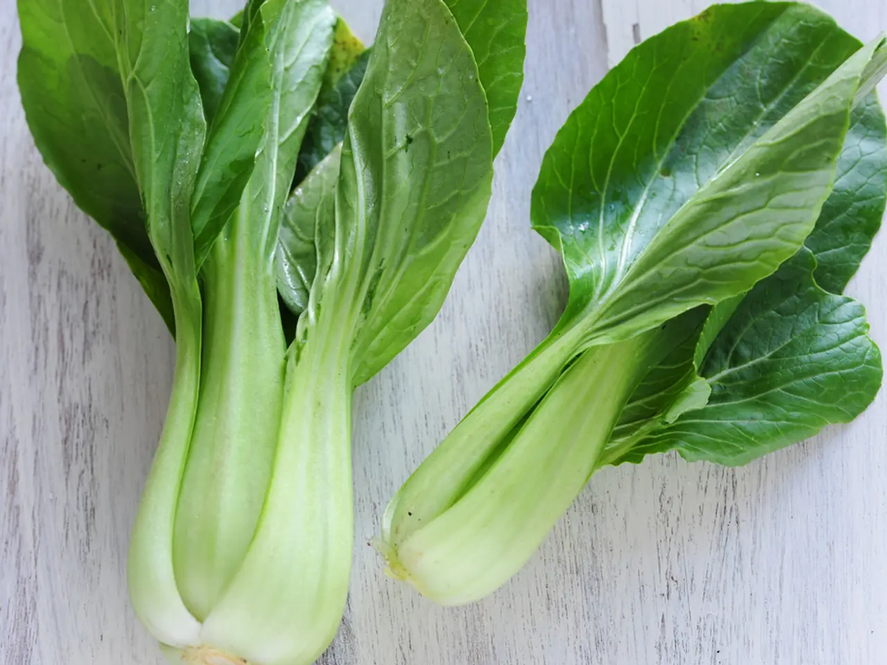 Guide for Nurturing Vegetable Cuttings