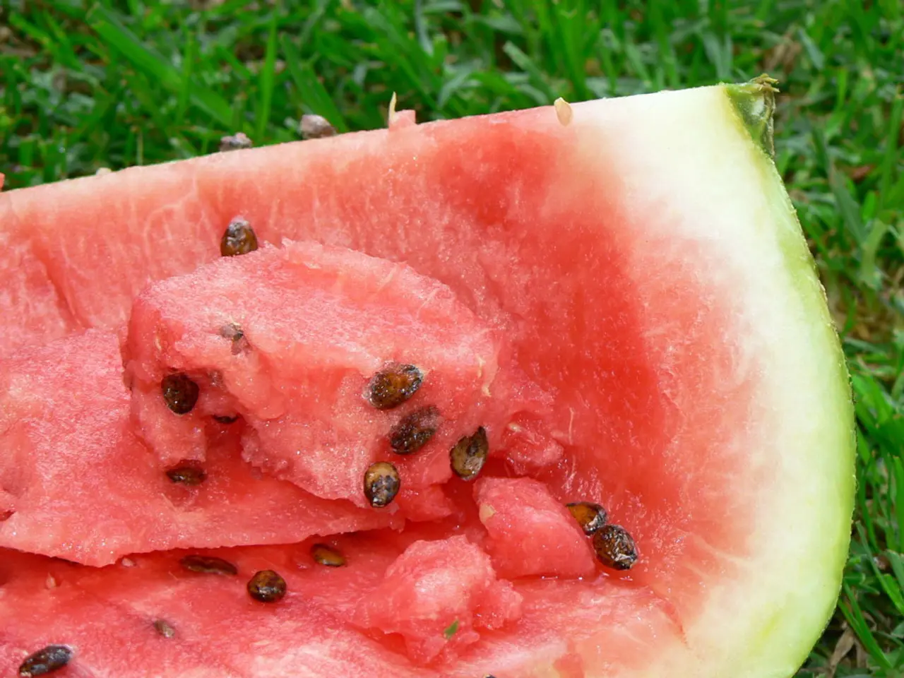 Ideal Planting Timing for Watermelon in Colorado: Uncovering the Perfect Moments for a Fruitful...