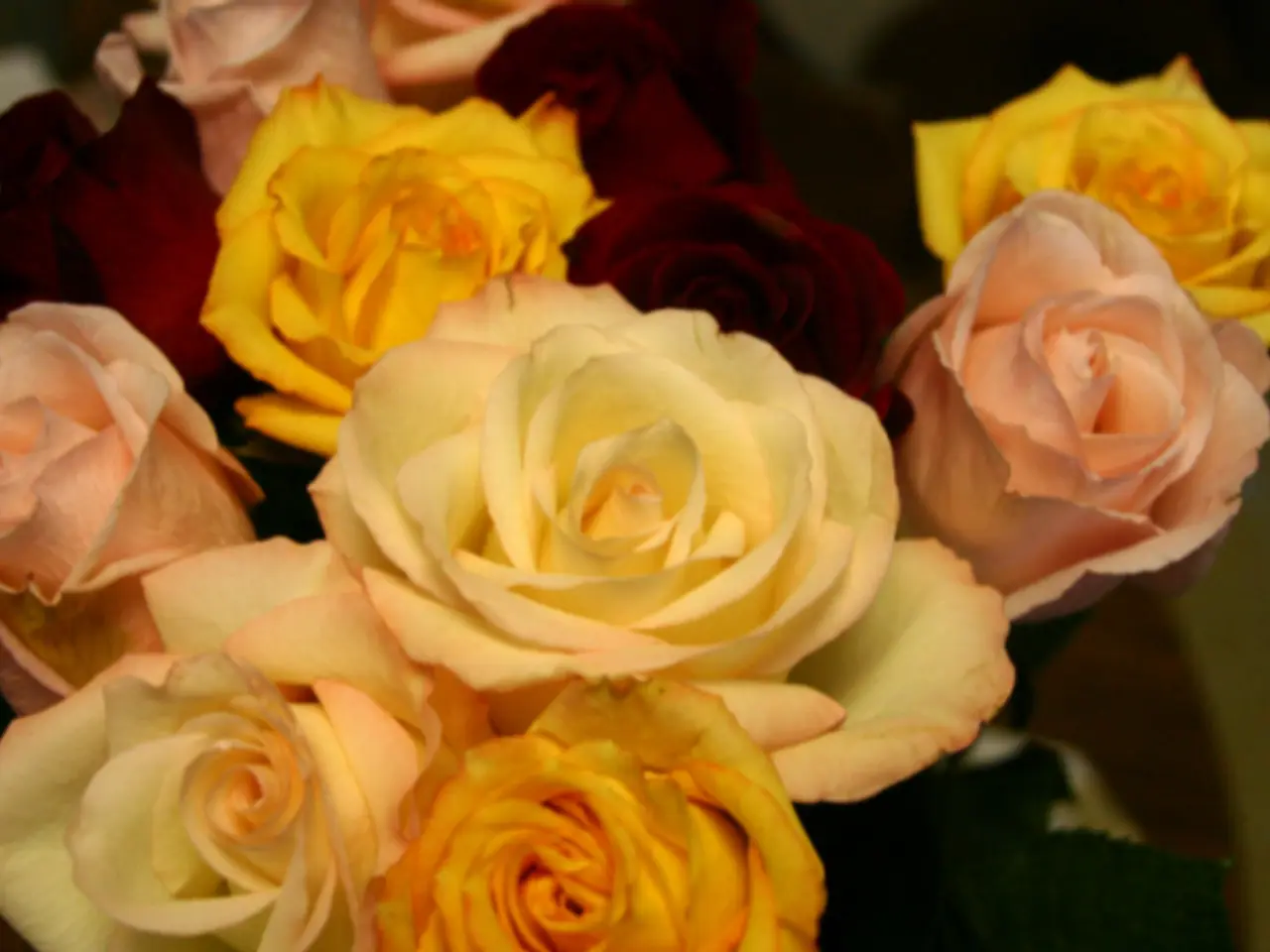 Don't let love bloom with the wrong color: Ensure your loved ones receive the correct rose hue!