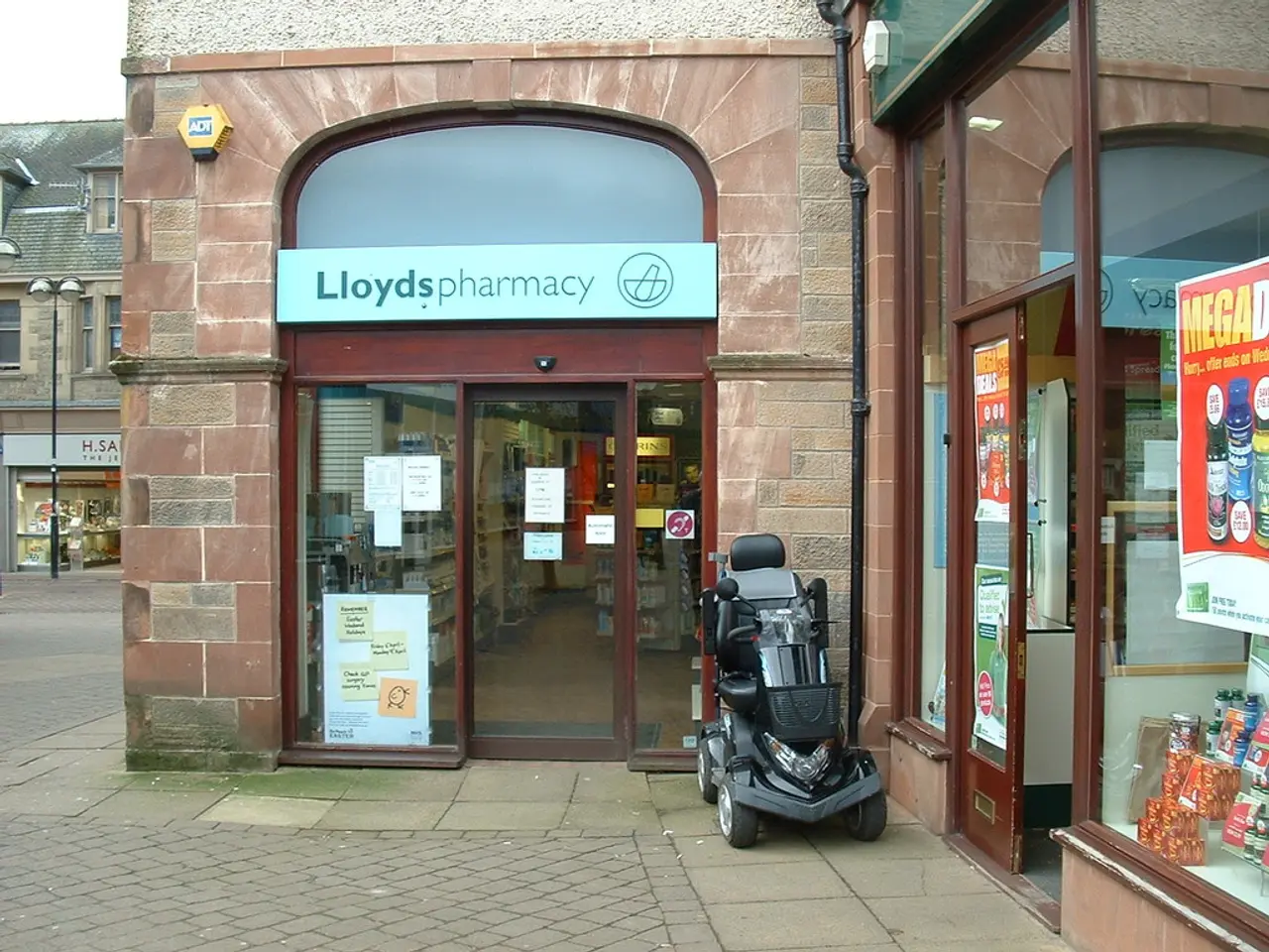 Reasons to Purchase OPMS Kratom from Nuwave During the Current Season