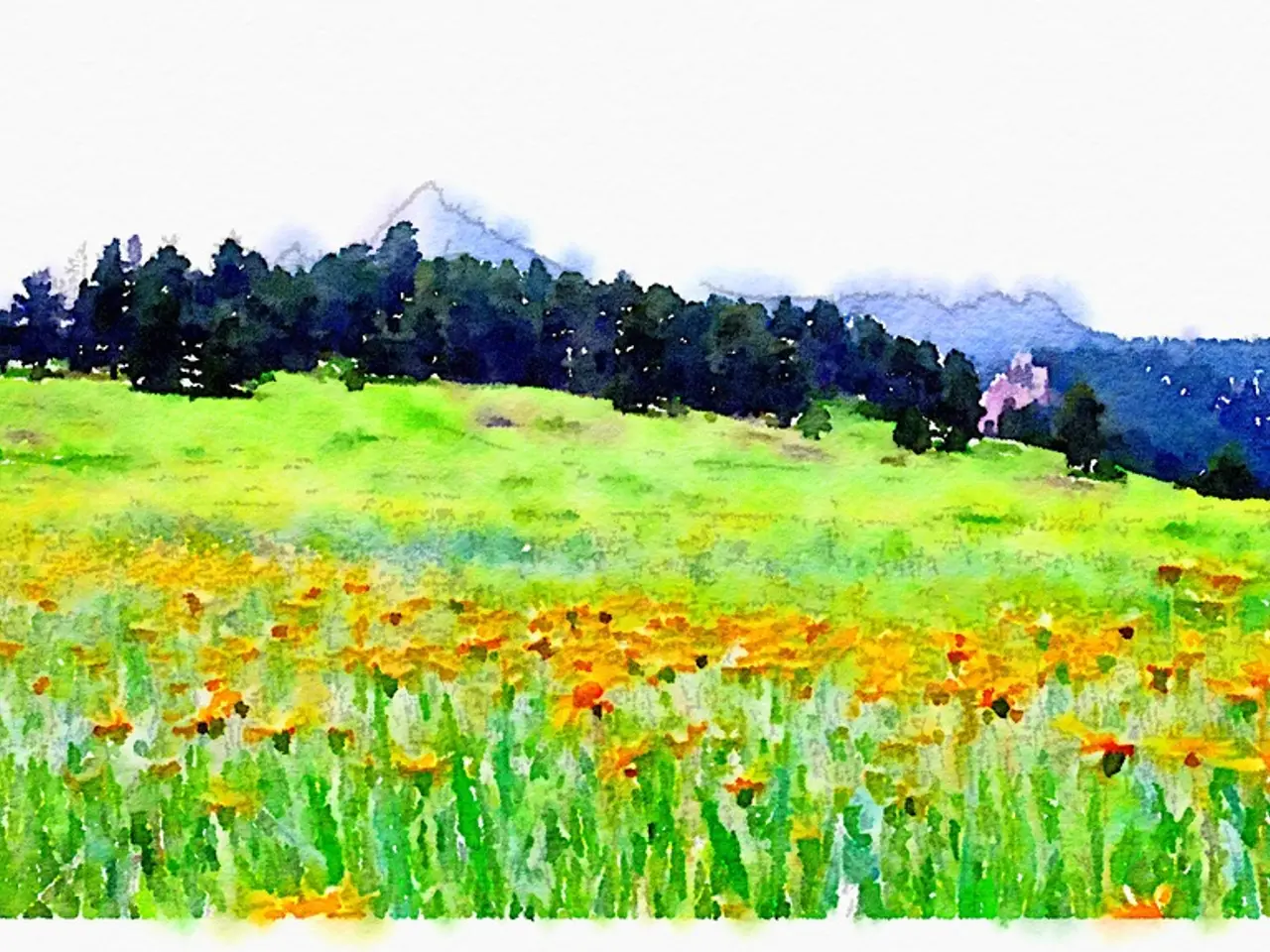 Designer Focuses on Transforming Urban Landscapes for Aesthetic Improvement