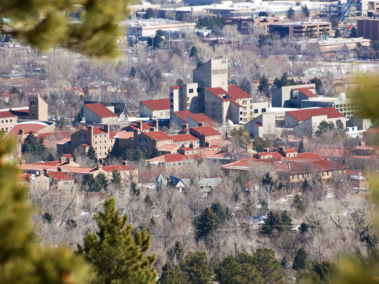 Watercolor Painting Guide: Paint a Tranquil Autumn Tree