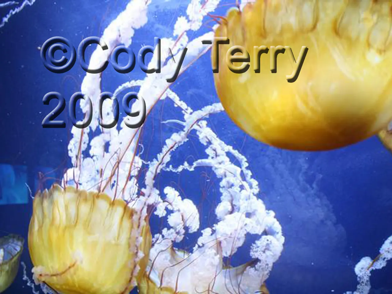 Reusable Ceramic Bowls Crafted from Used Coffee Filters