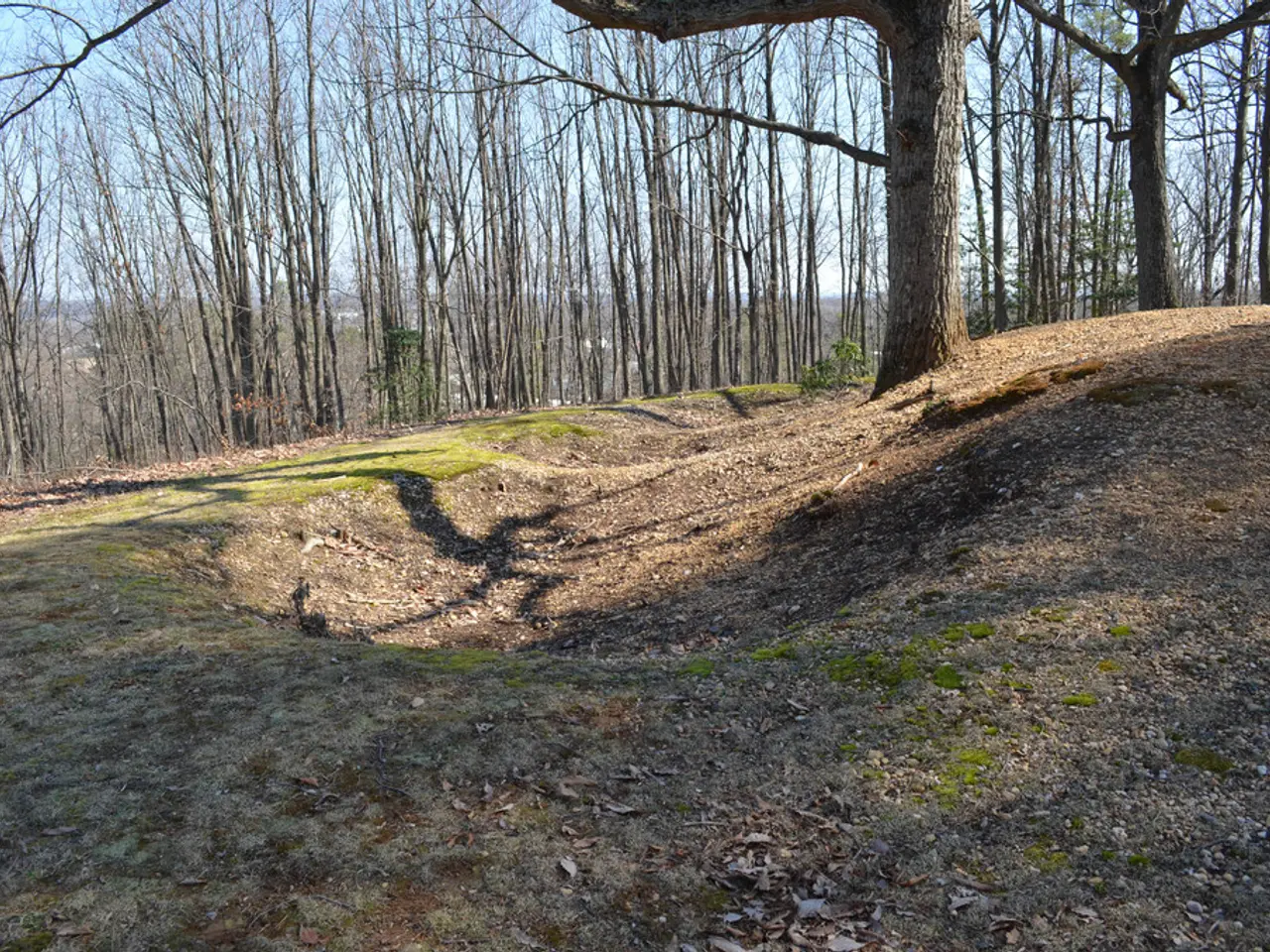 Comprehensive Overview of Mulching Techniques