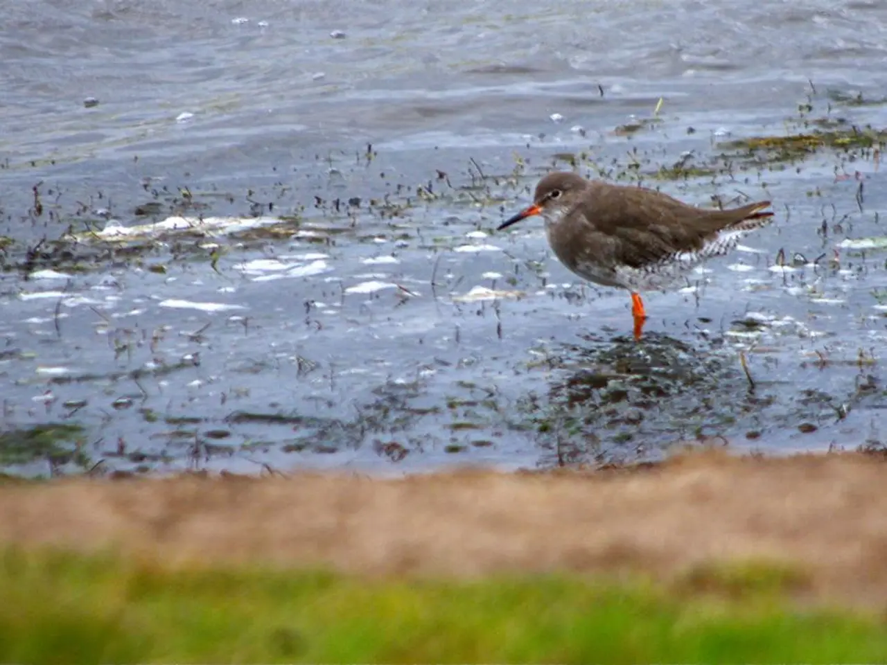 In the moment, misty breath clouds aired as the small yet powerful-hearted wren sang, bringing a...