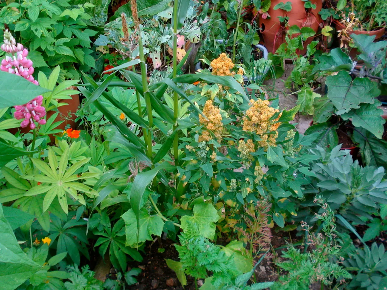 Cultivating with Indigenous Ground: A Handbook for Thriving Gardens