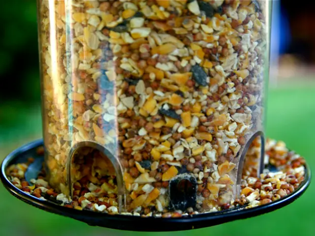 Create Your Homemade Seed Germination Blend