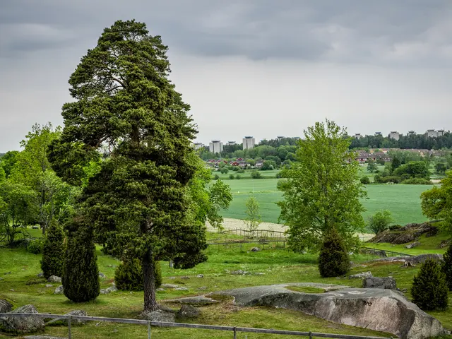 "Carol Klein candidly discusses her disdain for garden makeover shows, sharing insights on...