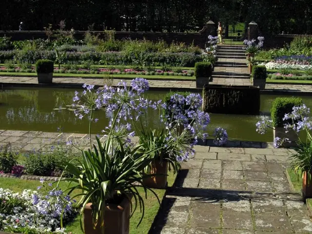 Seven Indoor Gardening Tricks Utilizing Water Autonomy That Every Horticulturist Ought to Master