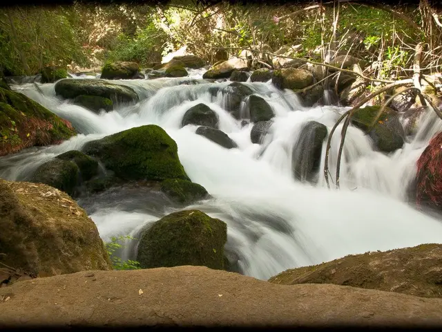 Understanding White Mold on Seedlings: Precautions and Measures for Prevention and Treatment