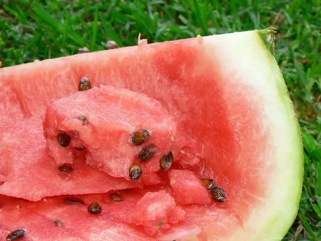 Ideal Planting Timing for Watermelon in Colorado: Uncovering the Perfect Moments for a Fruitful...