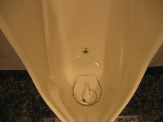 Bladder Contractions: Causes, Indicators, and Remedies