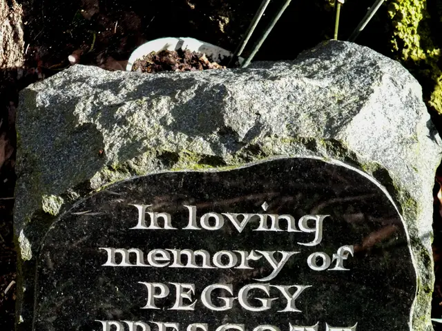 Comprehensive Guide for Creating Terrarium Landscapes, Emphasizing Rock and Wood Arrangements