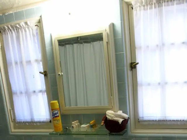 Exploited Space Solutions: Optimizing Your Bathroom Vanity's Concealed Capacities