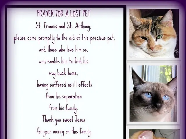 Couple of Gothic Nicknames for Your Enigmatic Cat, Suggested by Monica Weymouth