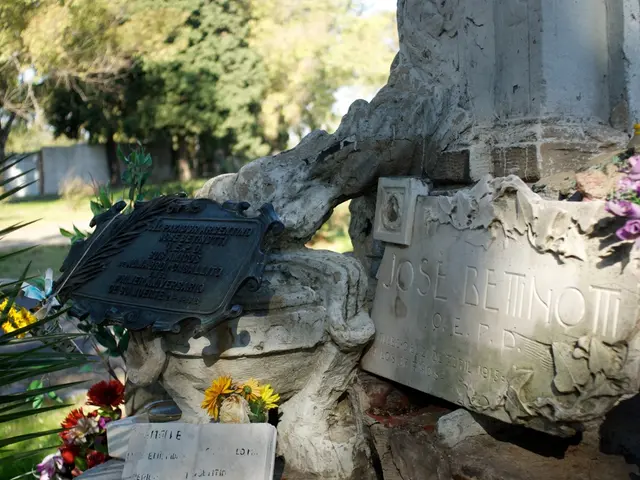 Harmful yet attractive: these plants require careful handling