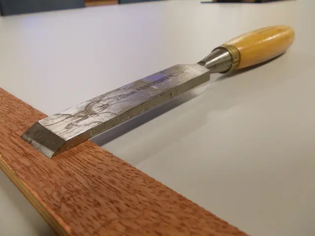 Tool and Glove Inspection during Summer Garden Care: Essential Mid-Season Maintenance for Your...