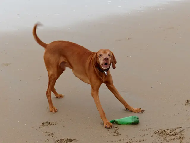 Preserving Without Action: That's His Role