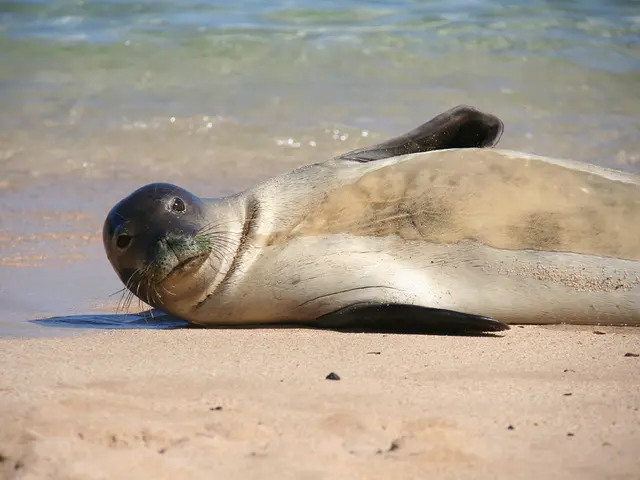 Two officially recognized beaches are located in the Tomsk region.