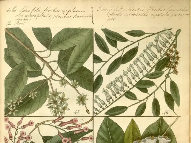 Selecting Plant Varieties Resistant to Pests for Effortless Gardening