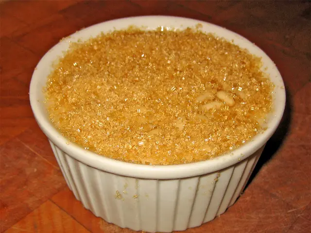 Most Advanced Pet Bowls of 2025: State-of-the-art feeding bowls designed for your pets' meals