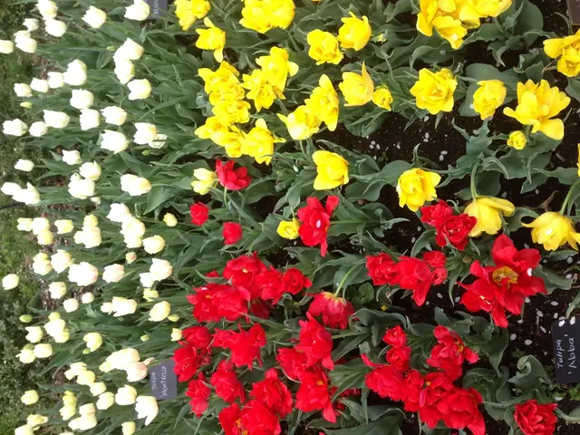 Explore Creative Flower Bed Ideas for YourVertical Gardening: Fresh Inspiration for Your Elevated...