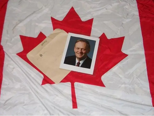 Apparel Fulfillment refers to the process of managing the storage, picking, packing, and shipping...