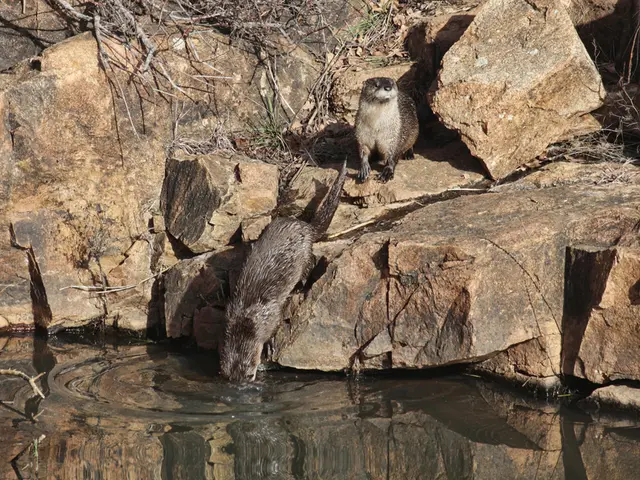 Explore these 6 Scenic Spots for a Day Hike along the Bay Circuit Trail: