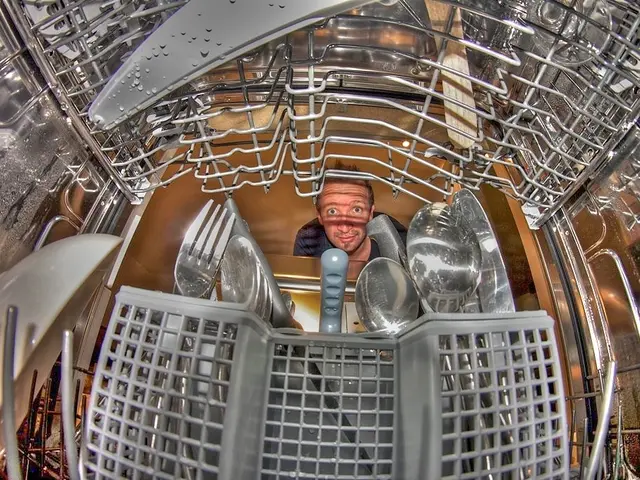Unraveling Dishwasher Predicaments: Interpreting Error Messages and Carrying Out Fixes