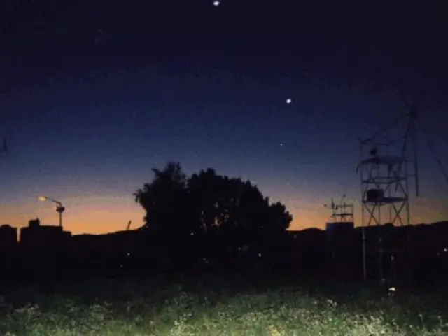 Essential Tips for Lush Peony Blossoms: A Comprehensive Guide