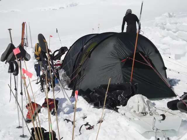 Guided Visit to Otari's Glowworm Caves