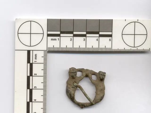 Weekly Discussion: Purchasing an Antique Grandfather Clock - Guidance for a Reader