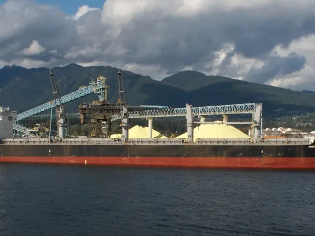 Sunny Day Up for Grabs