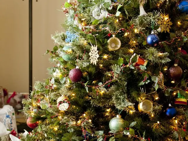 Exploring the Emblematic Significance of Plant Gifts