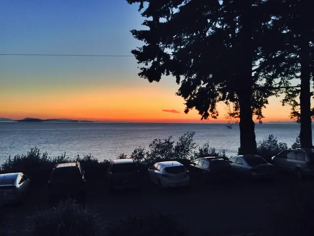 Instruction Manual for Nurturing a Vegetation Haven within a Glass Conservatory