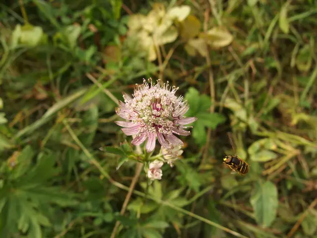 Installed a seal at the greenhouse entrance, and feeling immensely content. Overcame numerous...