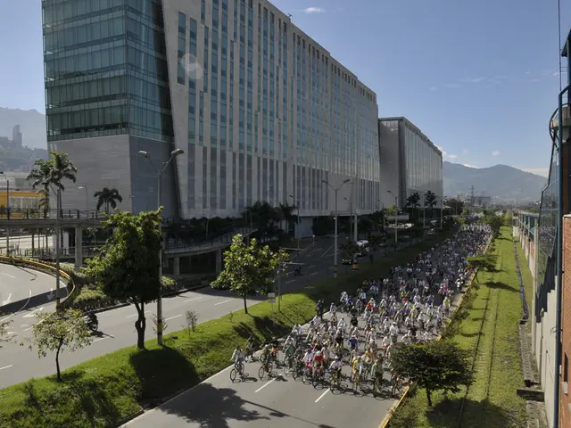 Rats have resumed their activities in a recurring pattern.