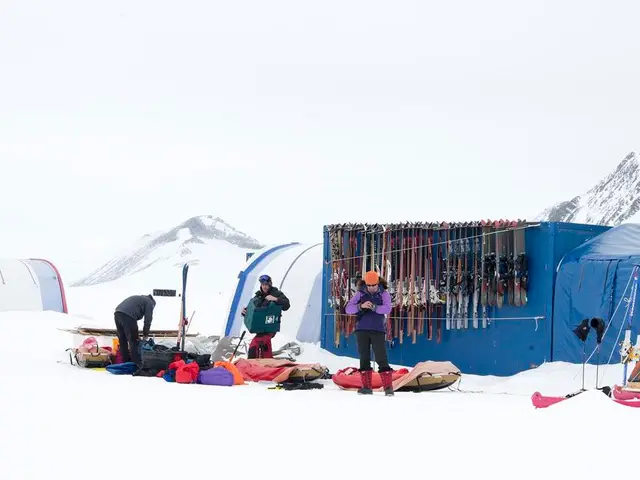 Collapse Nearly Escapes: A Warning About Avalanches