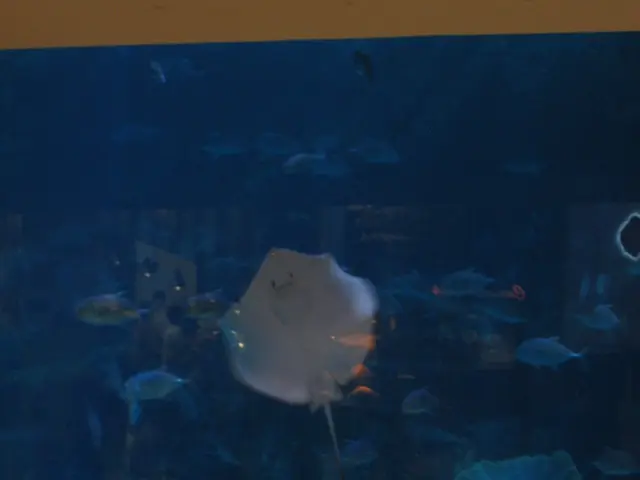 Creating a Terrarium Inside a Fish Tank: A Guide by Aquarium Sea-Crets