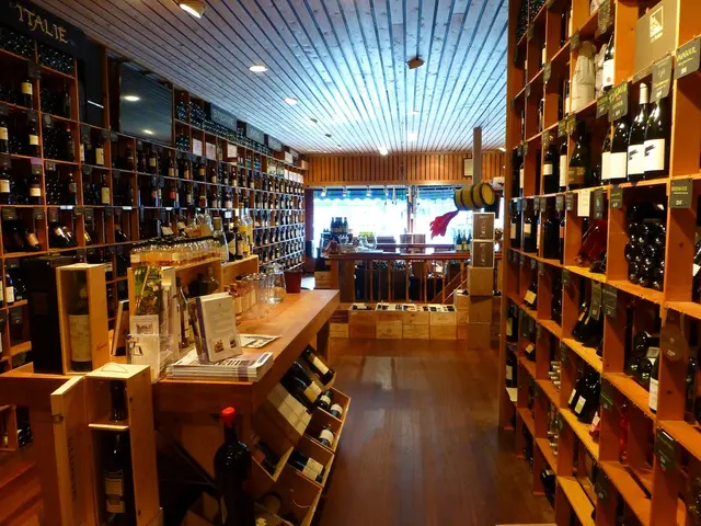 Reusing Bottles Over Single Use: Key Factors to Consider When Purchasing Containers