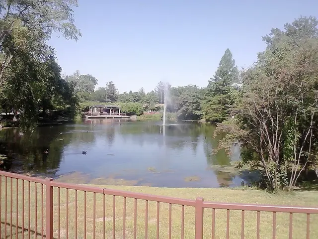 Strategies to Reduce Your Water Expenses During the Summer Heat