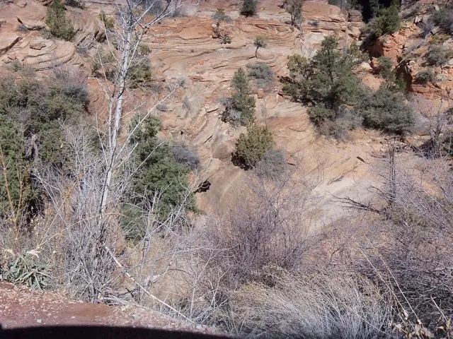 Arizona continues to be a top destination for rock collectors, offering a wide array of diverse...