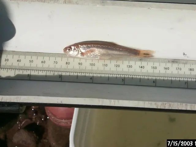 Ideal Study Hours: Morning, Midday, or Nighttime