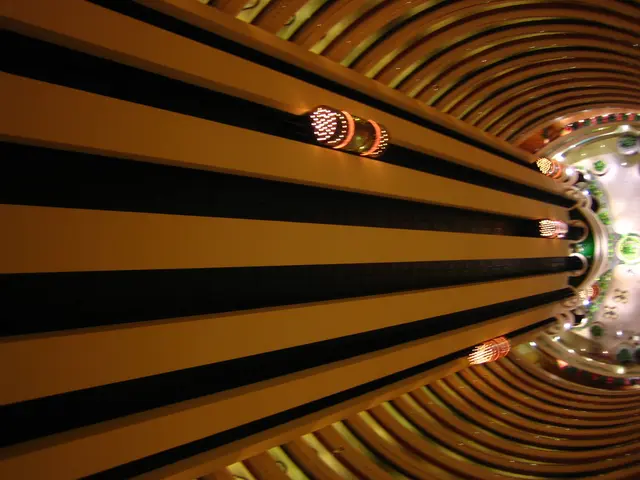 Building inhabitants in Mulhouse voice complaints due to lack of functional elevator for six months