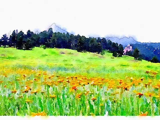 Designer Focuses on Transforming Urban Landscapes for Aesthetic Improvement