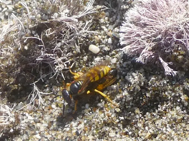 Top 15 Solar-Powered Devices for Eliminating Moles and Keeping Your Yard Mole-Free