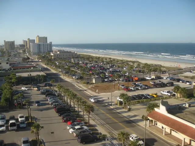Post-Tsunami Aftermath on Japan's Soil and Vegetation