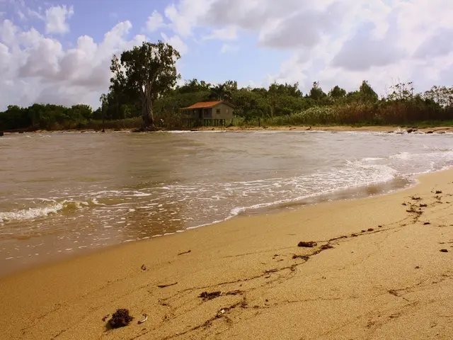 Transformed War Barracks Now Stands as a Charming Dorset Beach House